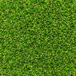 play 30 típusú műfű - grass goat